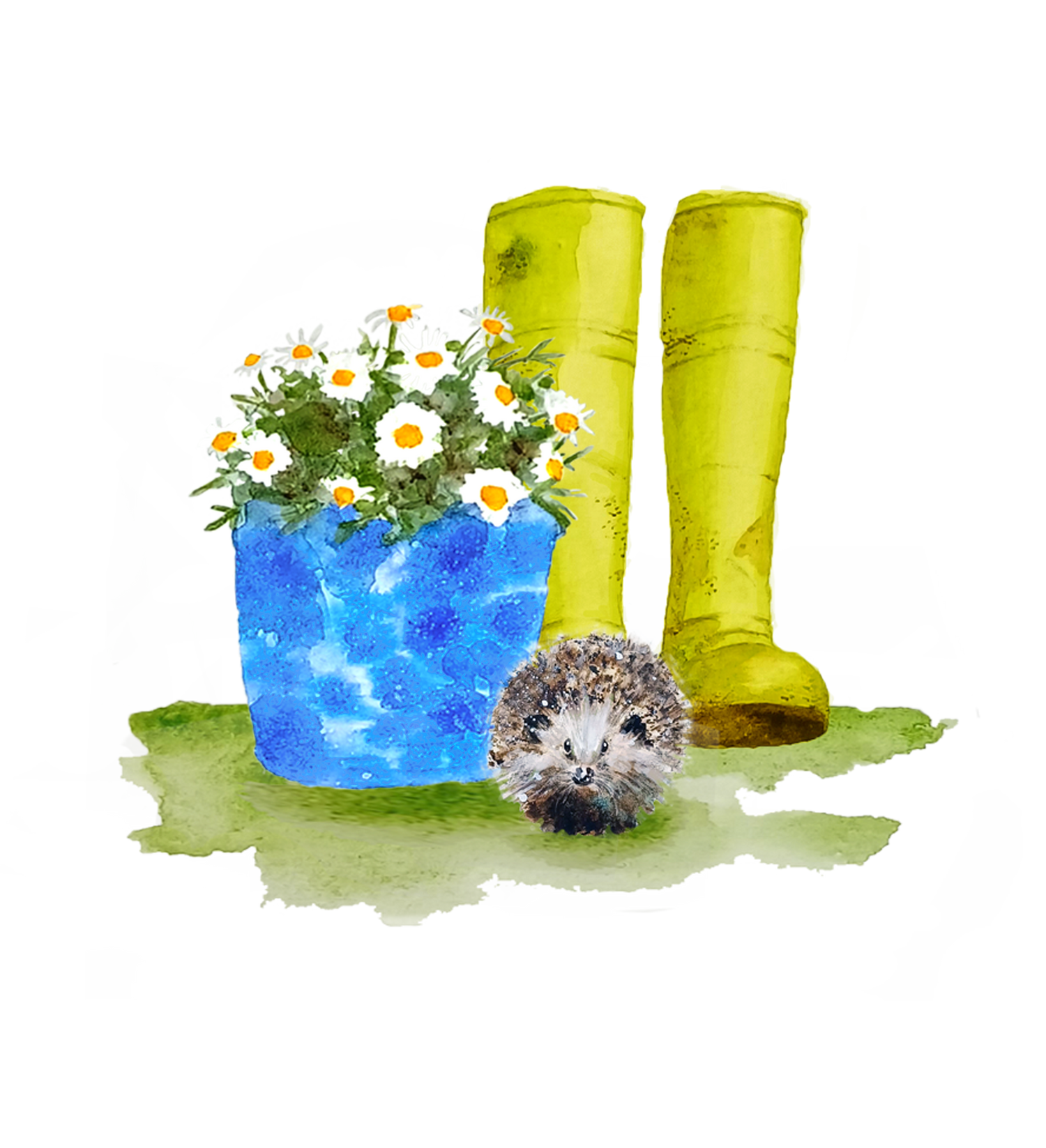 Daisies, Garden and Animals Art for licensing